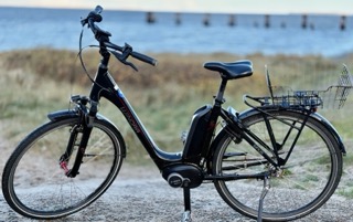 Smart E-Bike Damen 